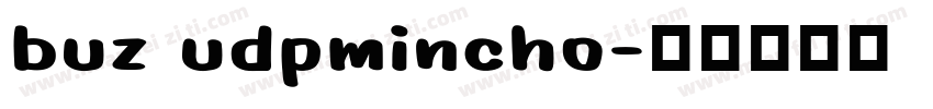 buz udpmincho字体转换